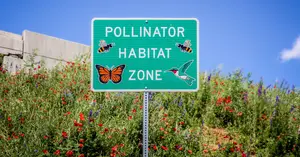 Highway 13 Butterfly Trail Donors -This page is dedicated to recognizing and honoring the donors who have made the Highway 13 Butterfly Trail possible.
