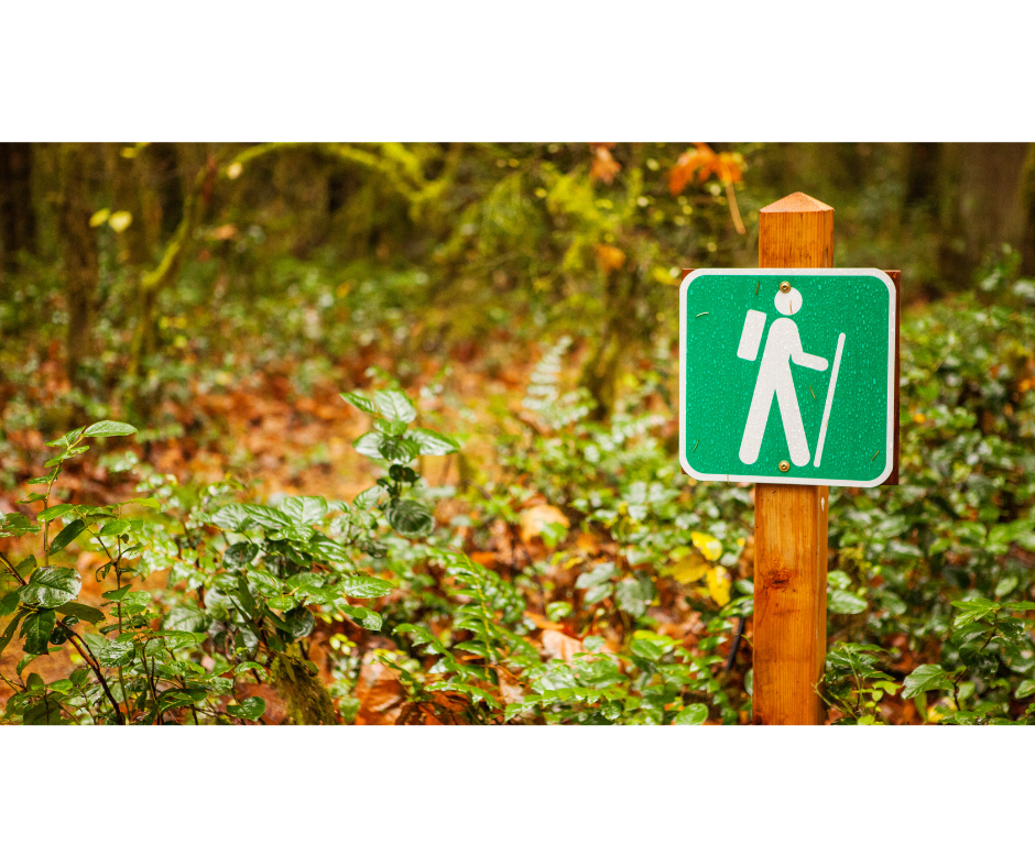 trail along the highway 13 butterfly corridor trail along the highway 13 butterfly corridor